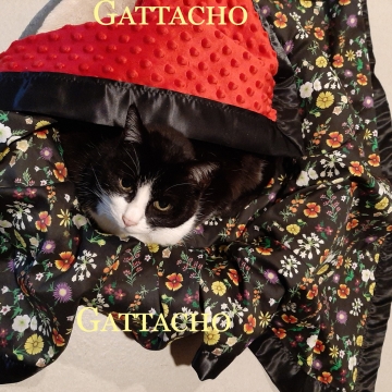 Black Texas Wild Flower Baby Blanket